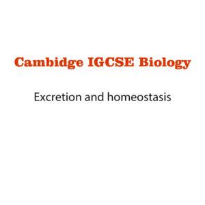 Biology Notes 13 (Ms Word)