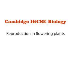 Biology Notes 14 (Ms Word)