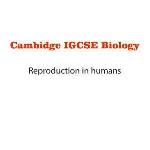 Biology Notes 15 (Ms Word)
