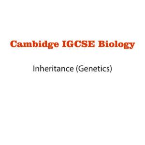 Biology Notes 16 (Ms Word)