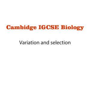 Biology Notes 17 (Ms Word)