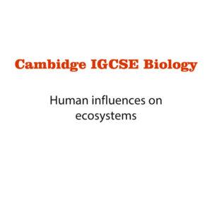 Biology Notes 19 (Ms Word)