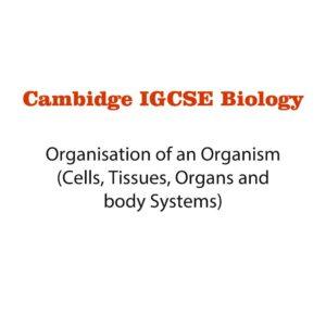 Biology Notes 2 (pdf)