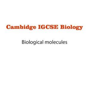 Biology Notes 4 (Ms Word)