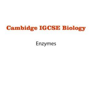 Biology Notes 5 (Ms Word)