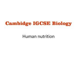 Biology Notes 7 (pdf)