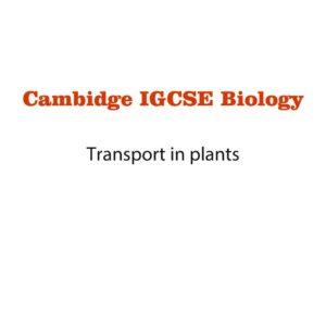 Biology Notes 8 (pdf)